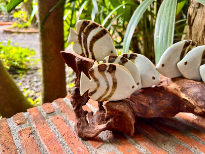 School of Fish Tabletop