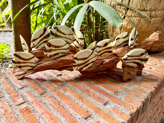 School of Fish Tabletop