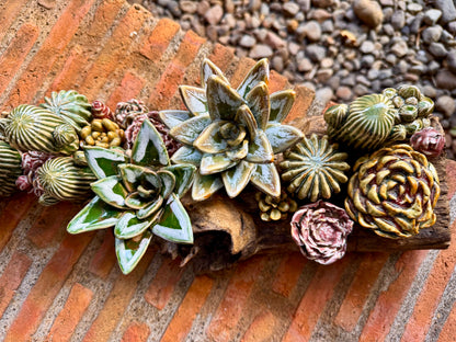 Succulent & Cactus Tabletop