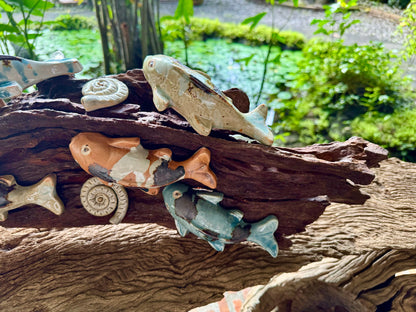 Kois and Mollusks on Driftwood Tabletop
