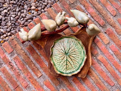 Birds on Teakwood Tabletop