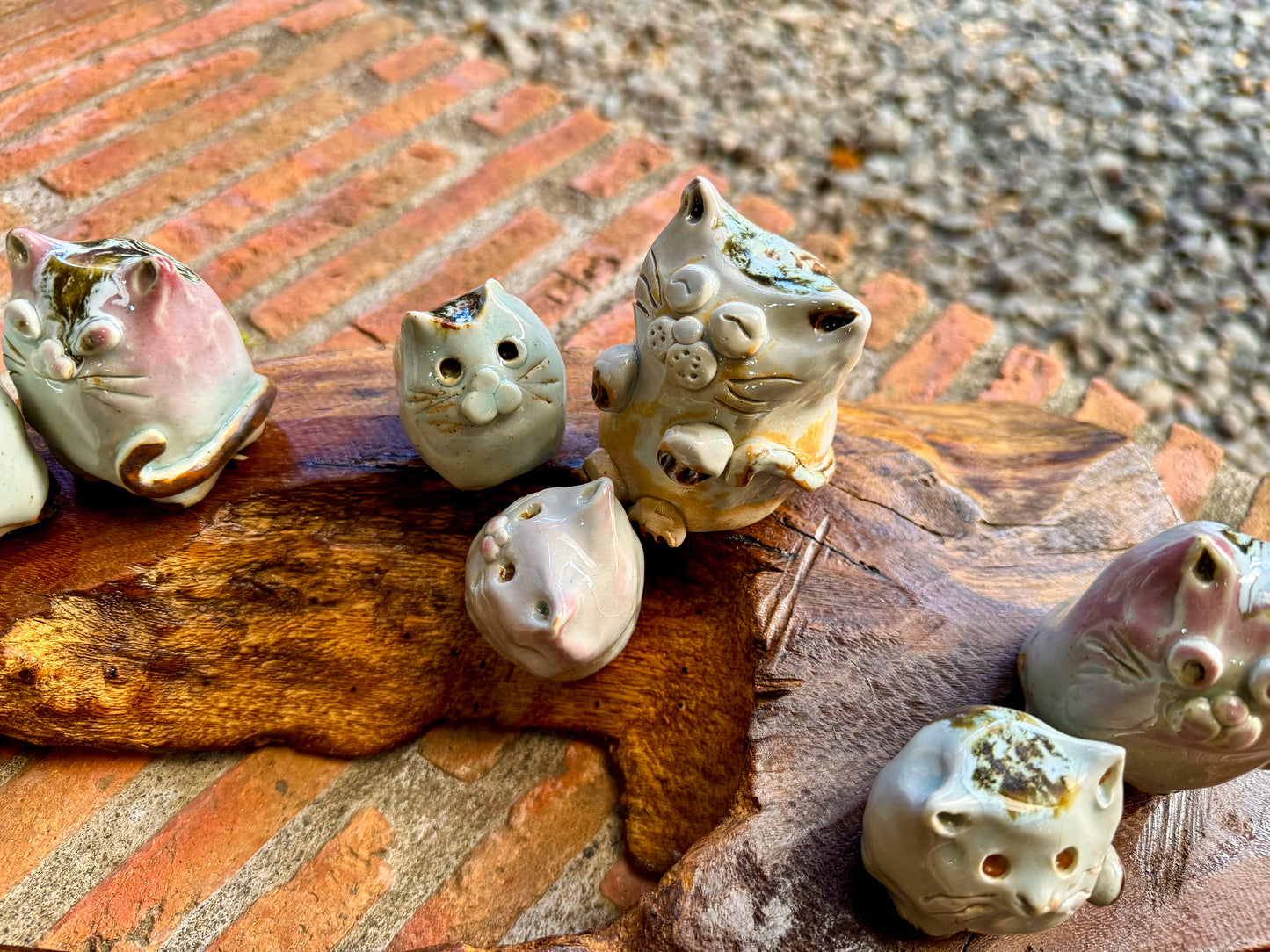 Cats & Kittens Tabletop