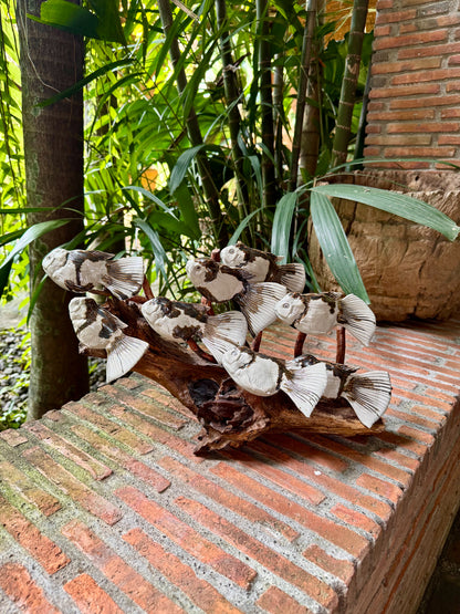 School of Fish Tabletop