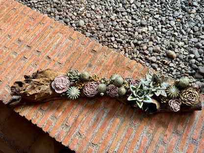 Succulent & Cactus Tabletop