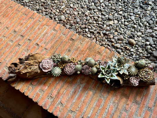 Succulent & Cactus Tabletop