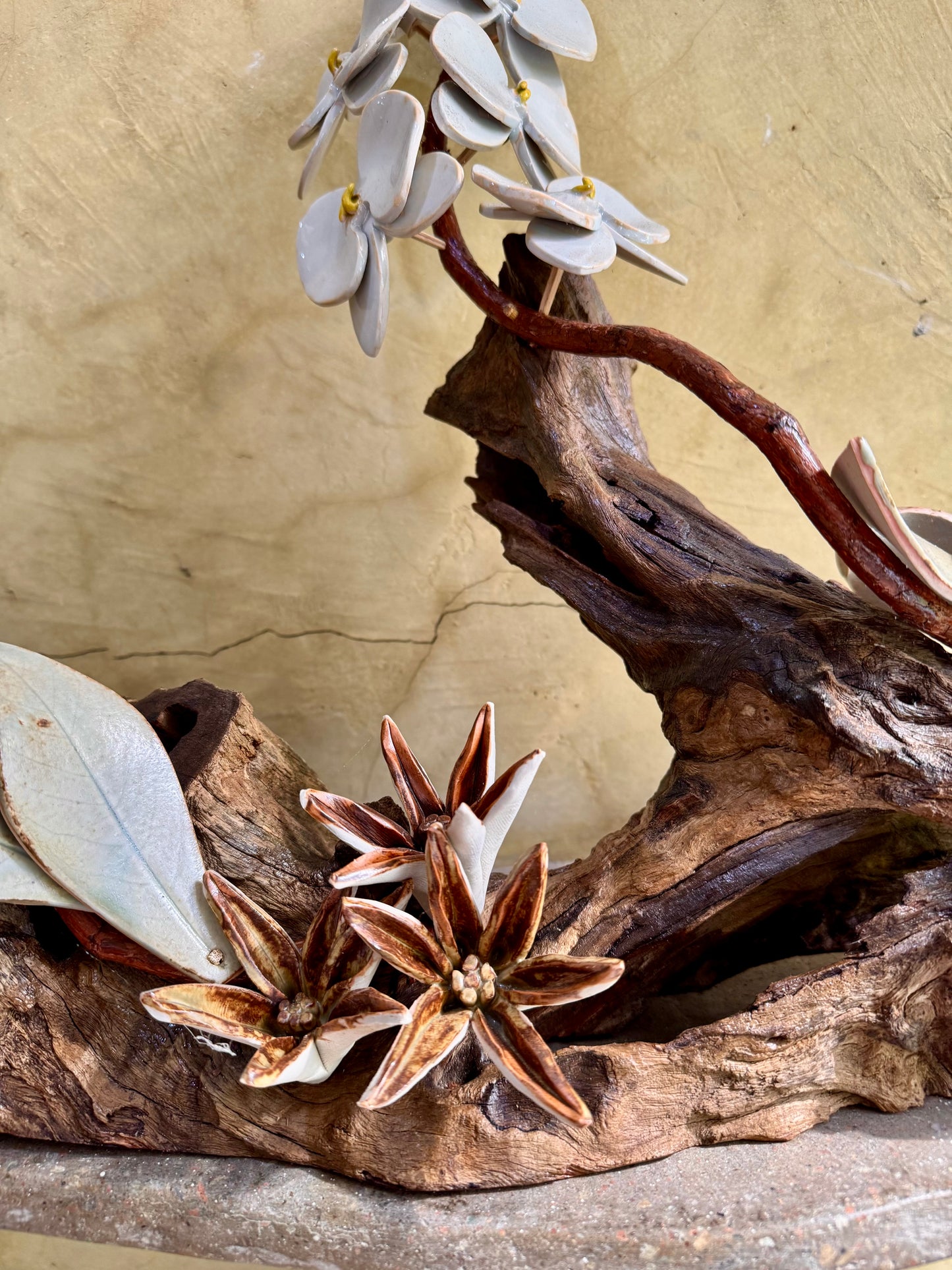 Phalaenopsis & Stargazer Tabletop