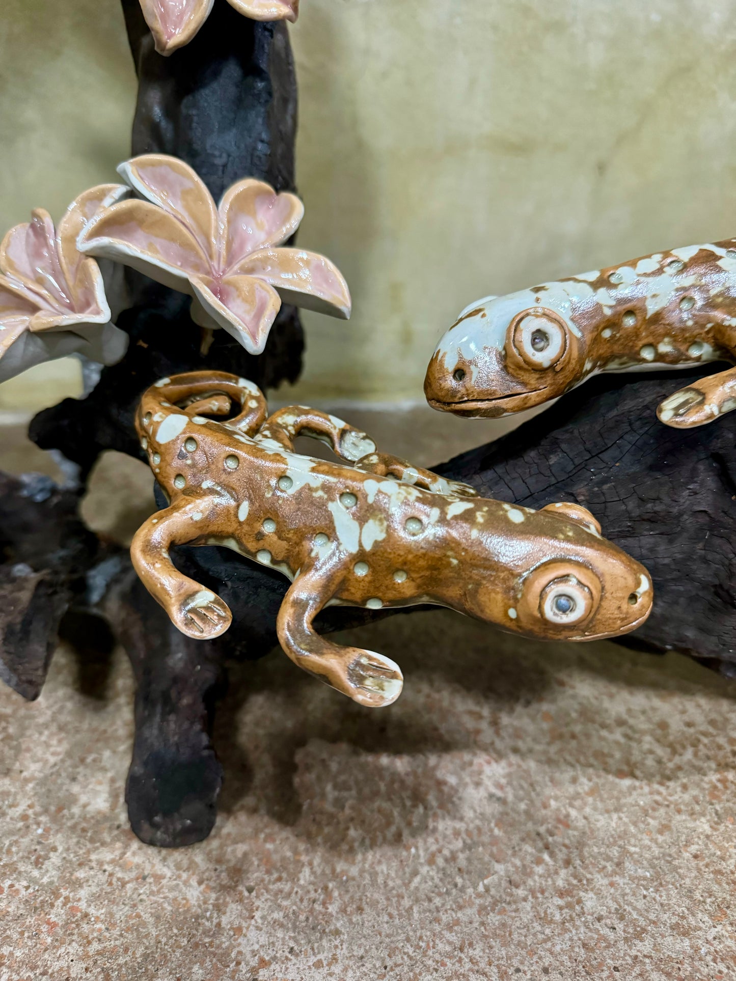 Calachuchi with Tuko Tabletop