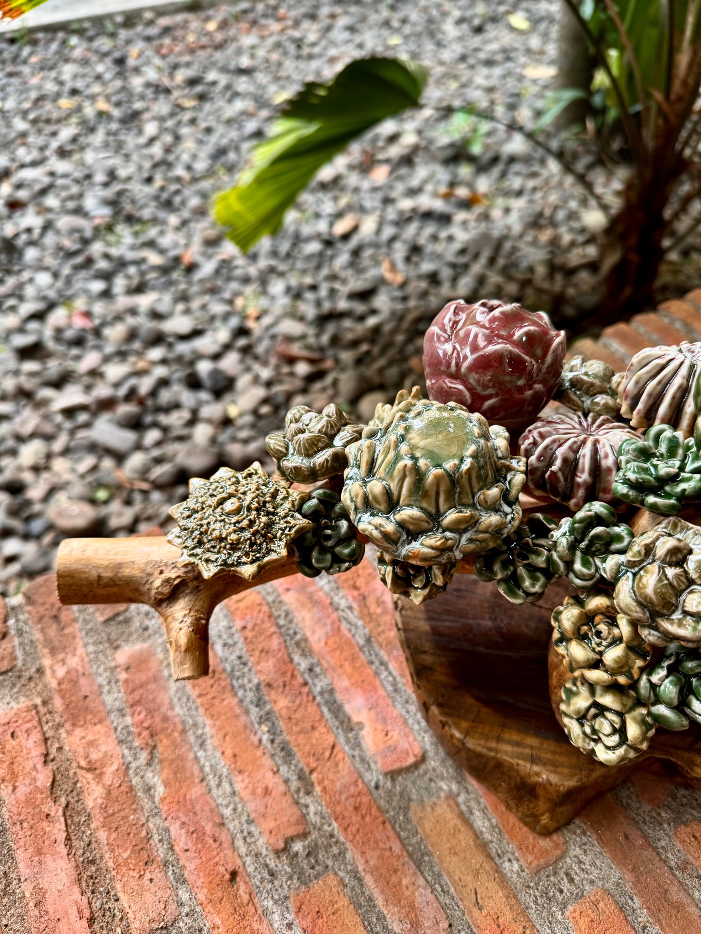 Succulent Tabletop