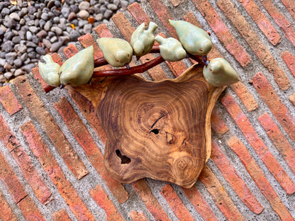 Birds on Teakwood Tabletop