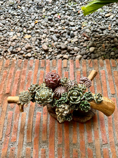 Succulent Tabletop