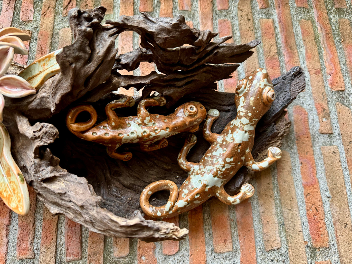 Tuko with Calachuchi Tabletop