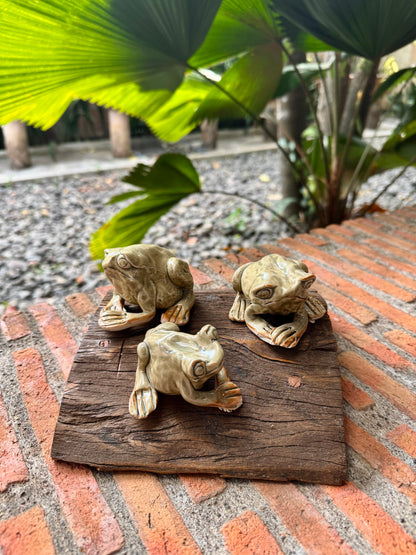 Frog Tabletop