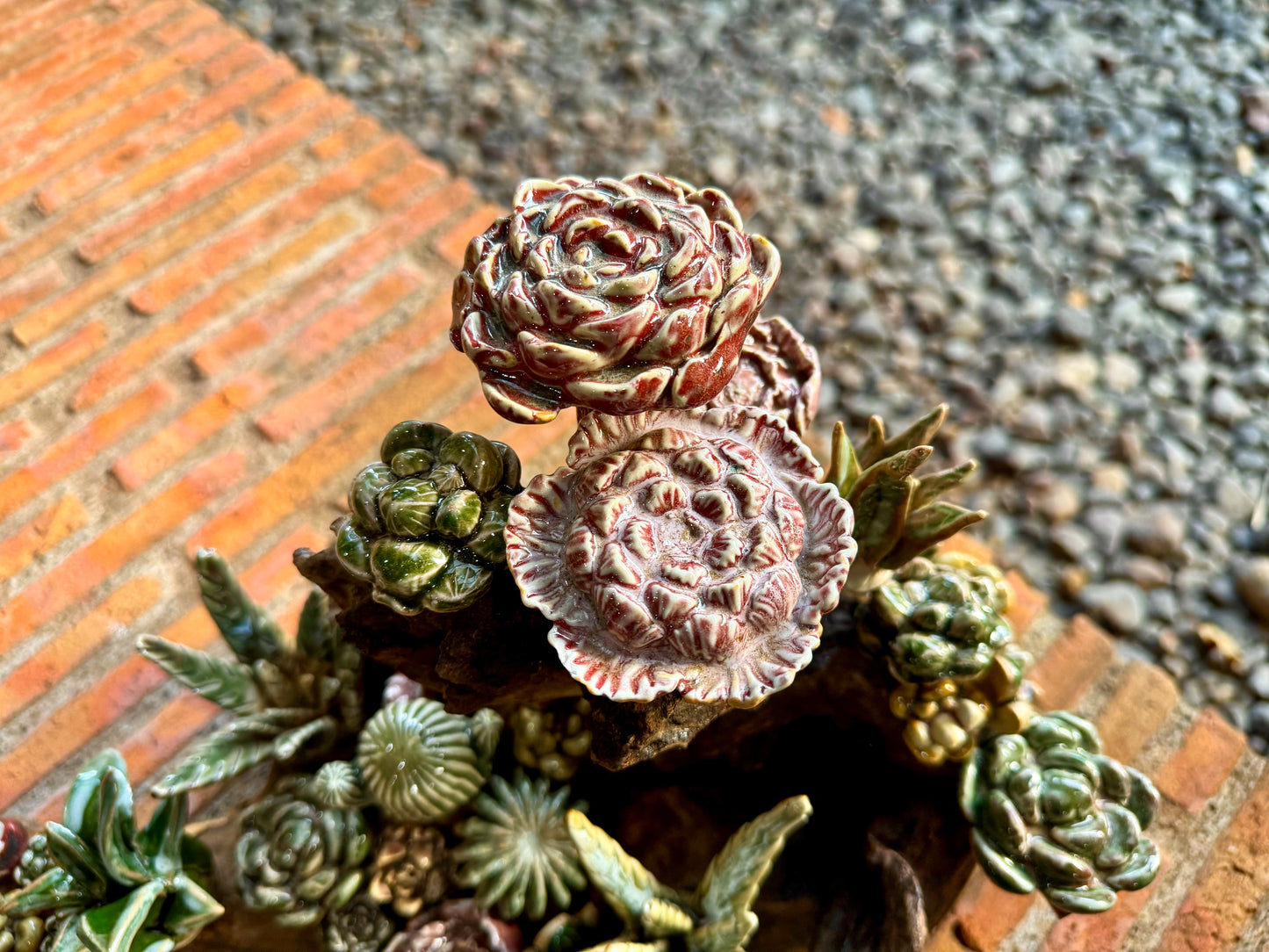 Succulents & Cactus Tabletop