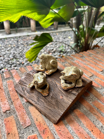 Frog Tabletop