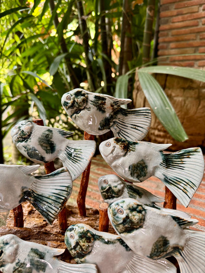 School of Fish Tabletop
