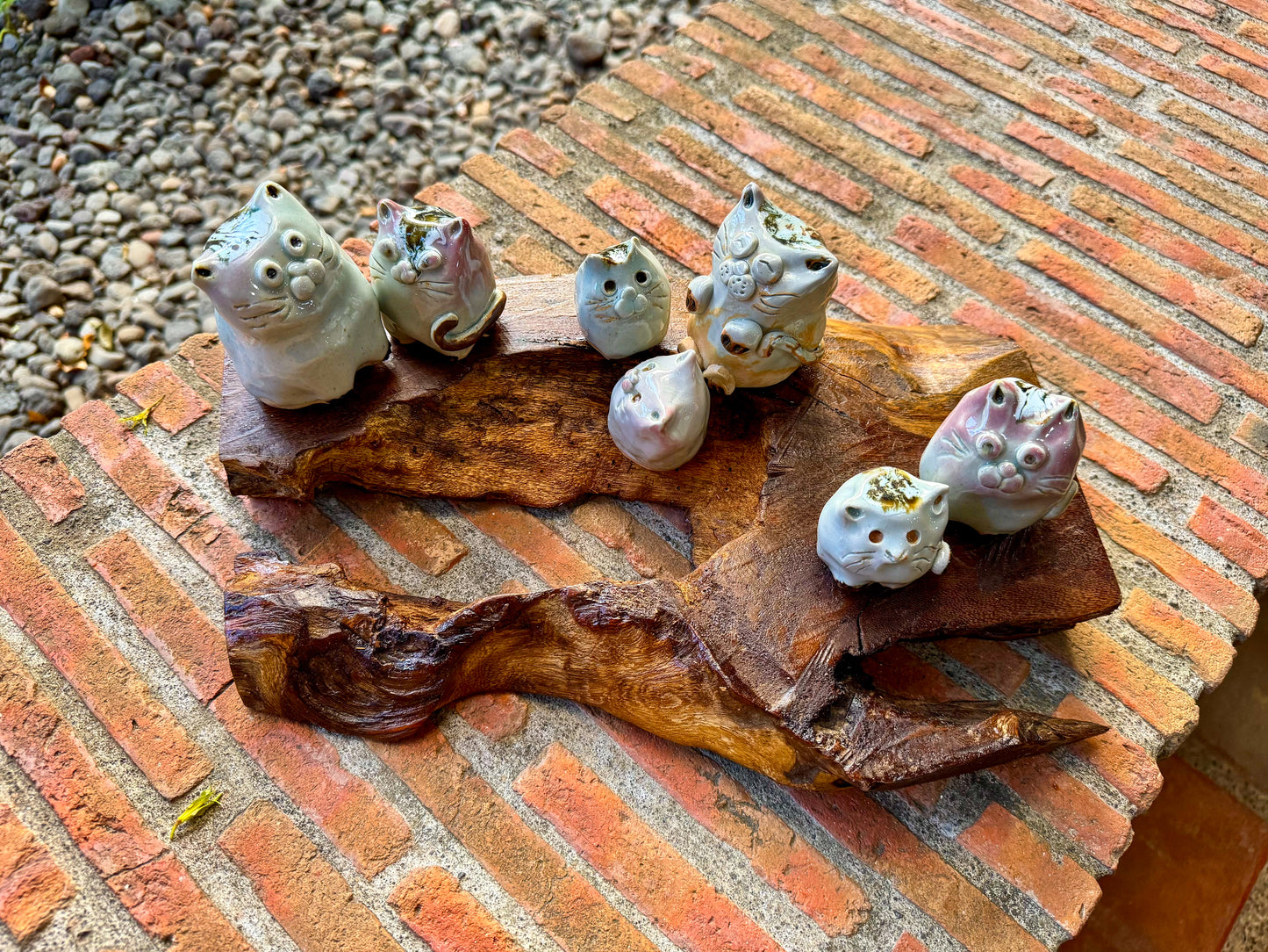 Cats & Kittens Tabletop