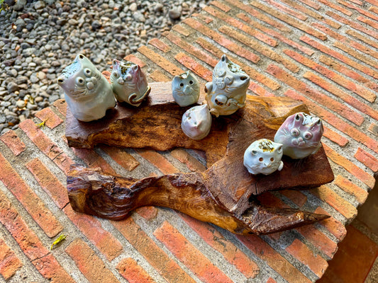 Cats & Kittens Tabletop