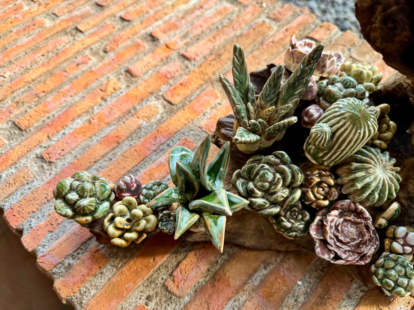 Succulents & Cactus Tabletop