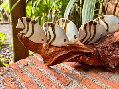 School of Fish Tabletop