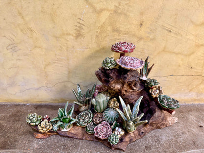 Succulents & Cactus Tabletop