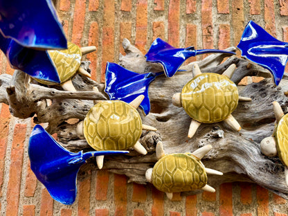 Stingray & Turtles Tabletop