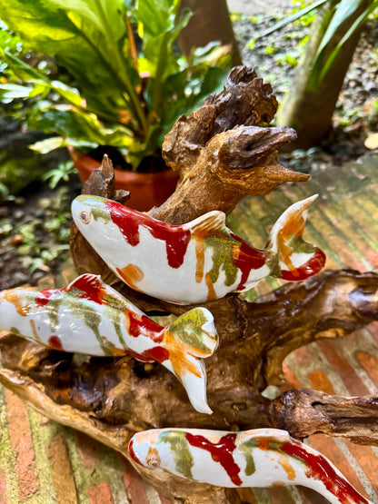 Koi Tabletop