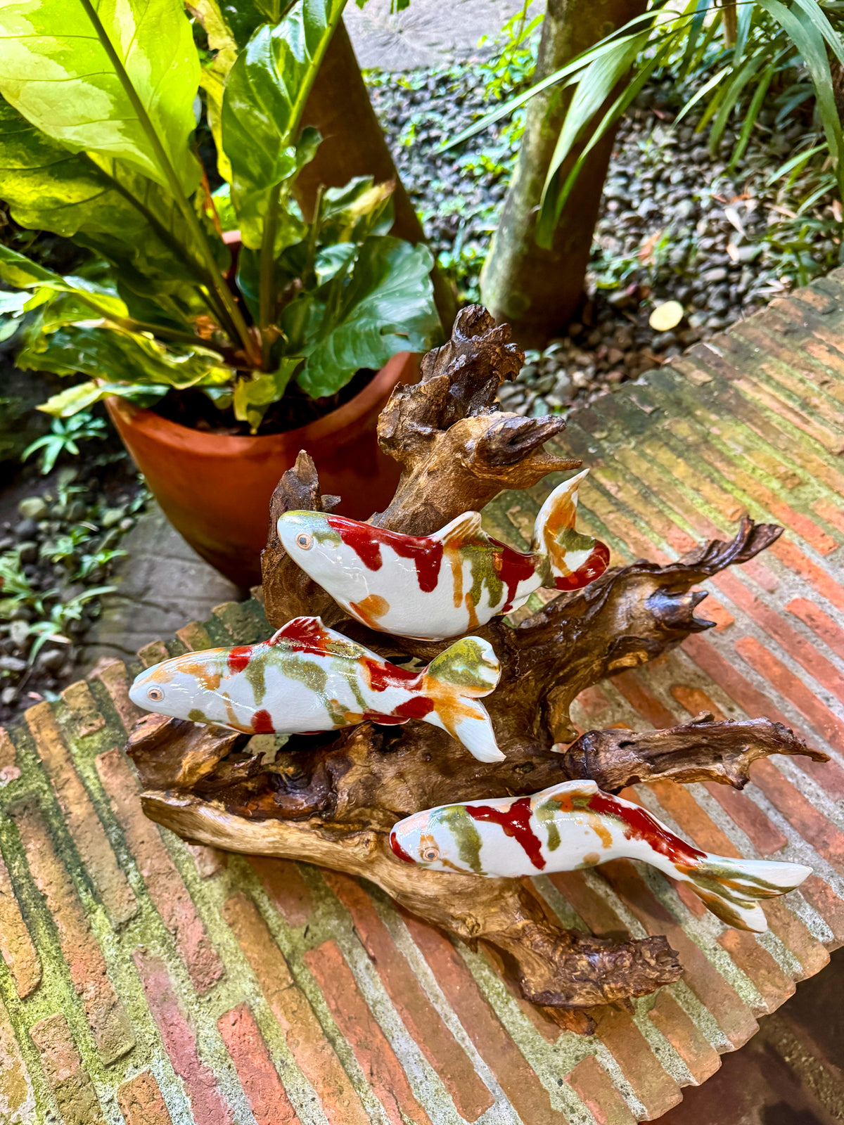 Koi Tabletop