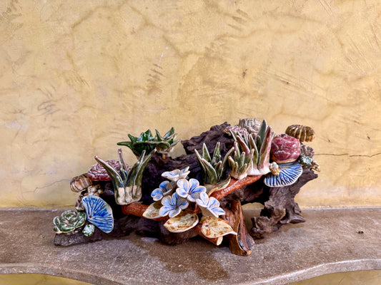 Succulents & Cactus Tabletop