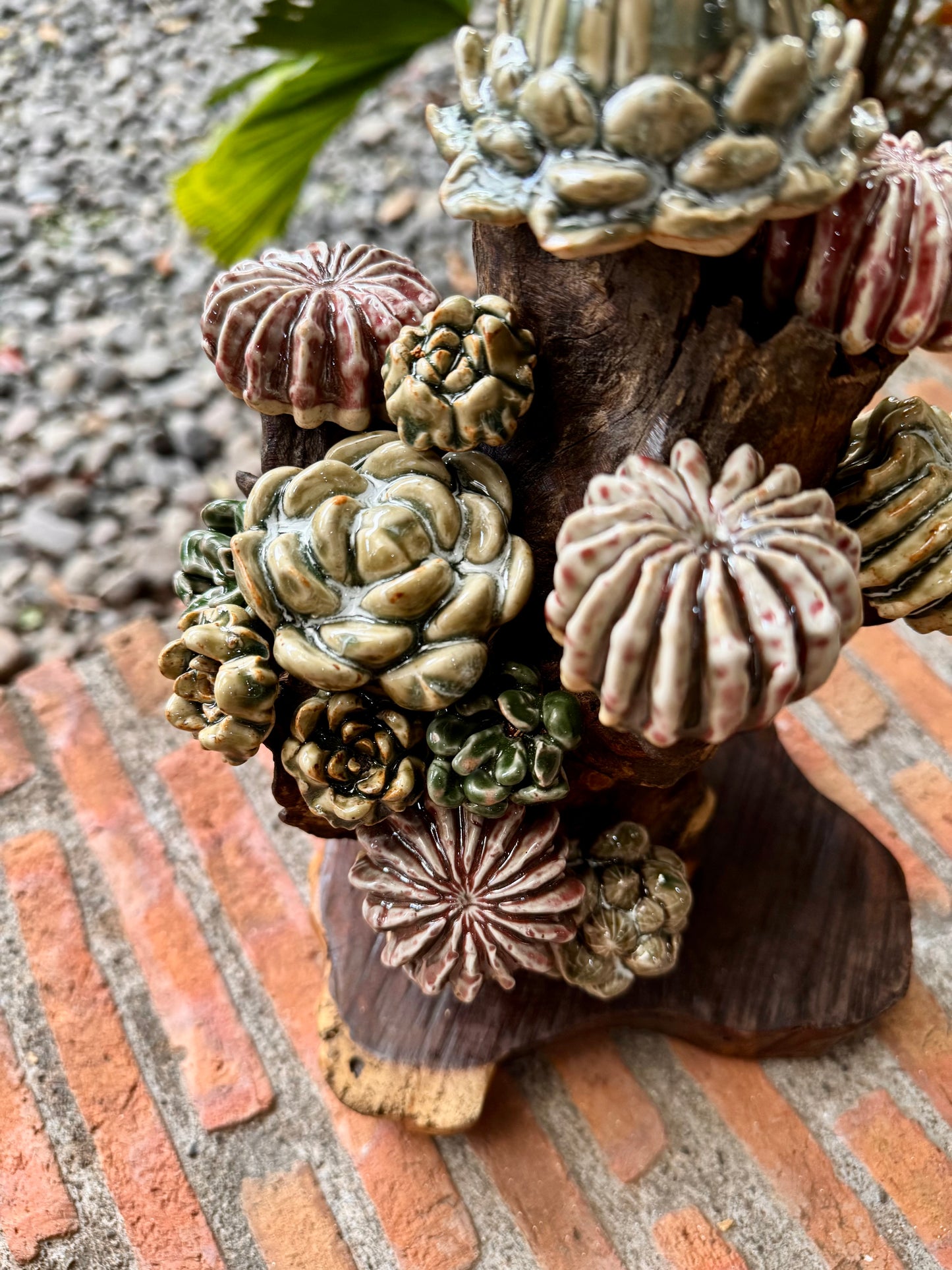 Succulent Tabletop