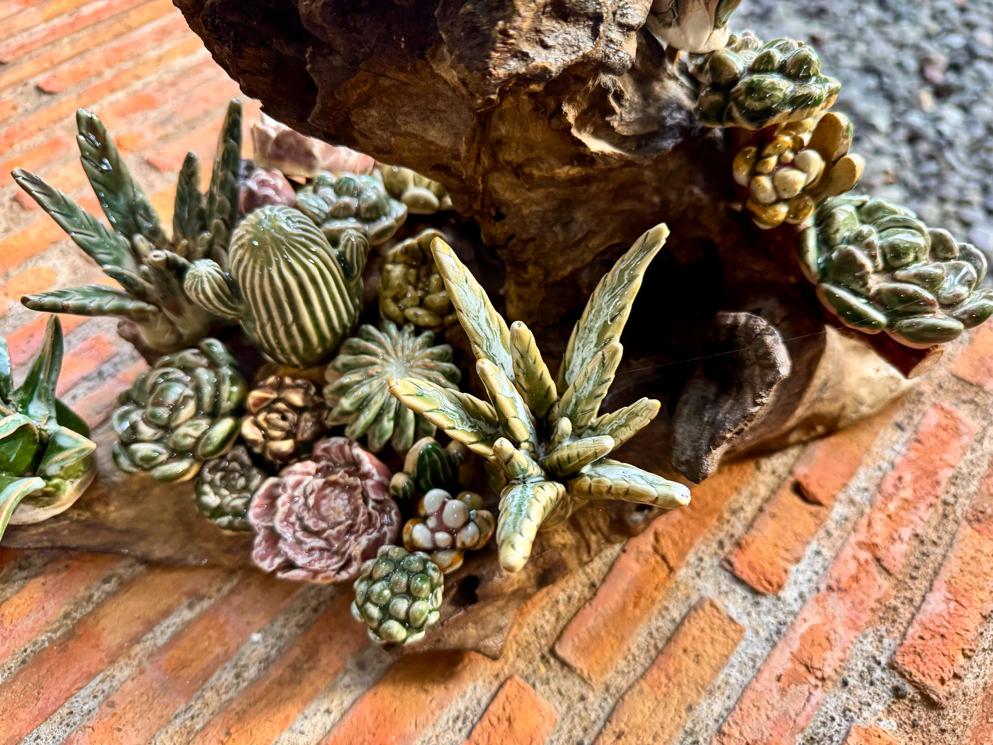Succulents & Cactus Tabletop