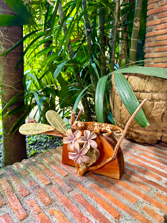 Tuko with Calachuchi Tabletop