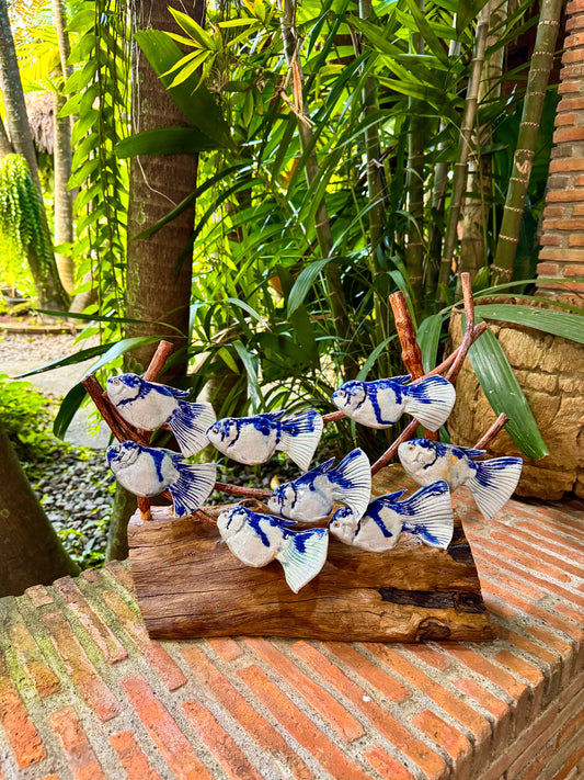 School of Fish Tabletop