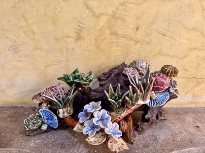 Succulents & Cactus Tabletop