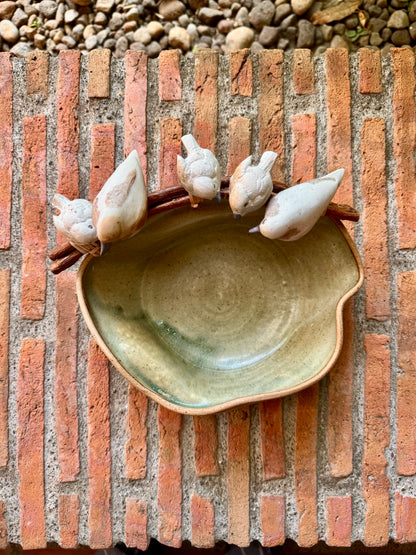 Birds in Roots Bowl