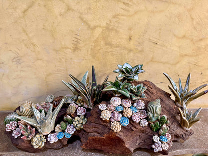 Succulents & Cactus Tabletop