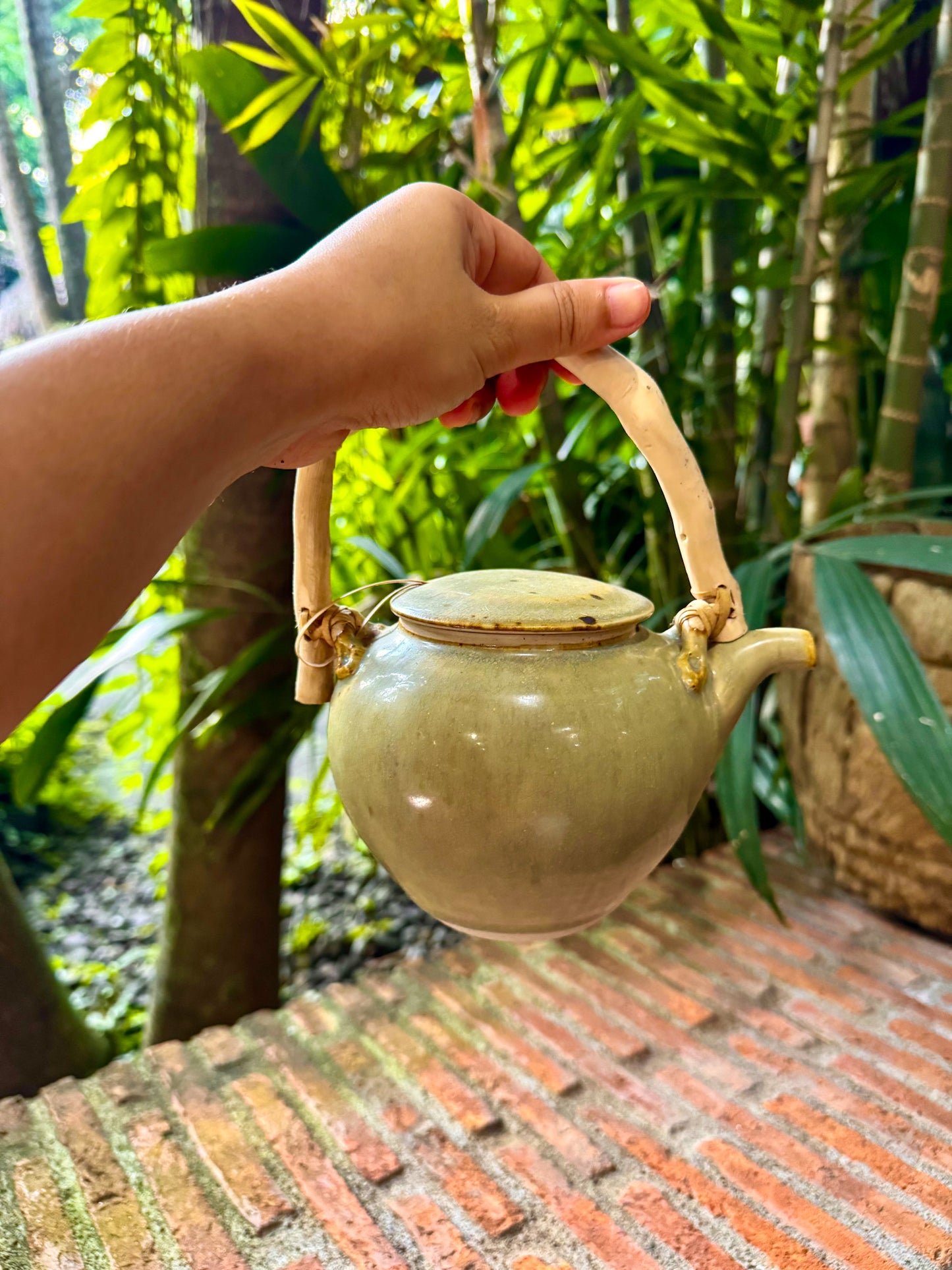 Teapot with Root Handle