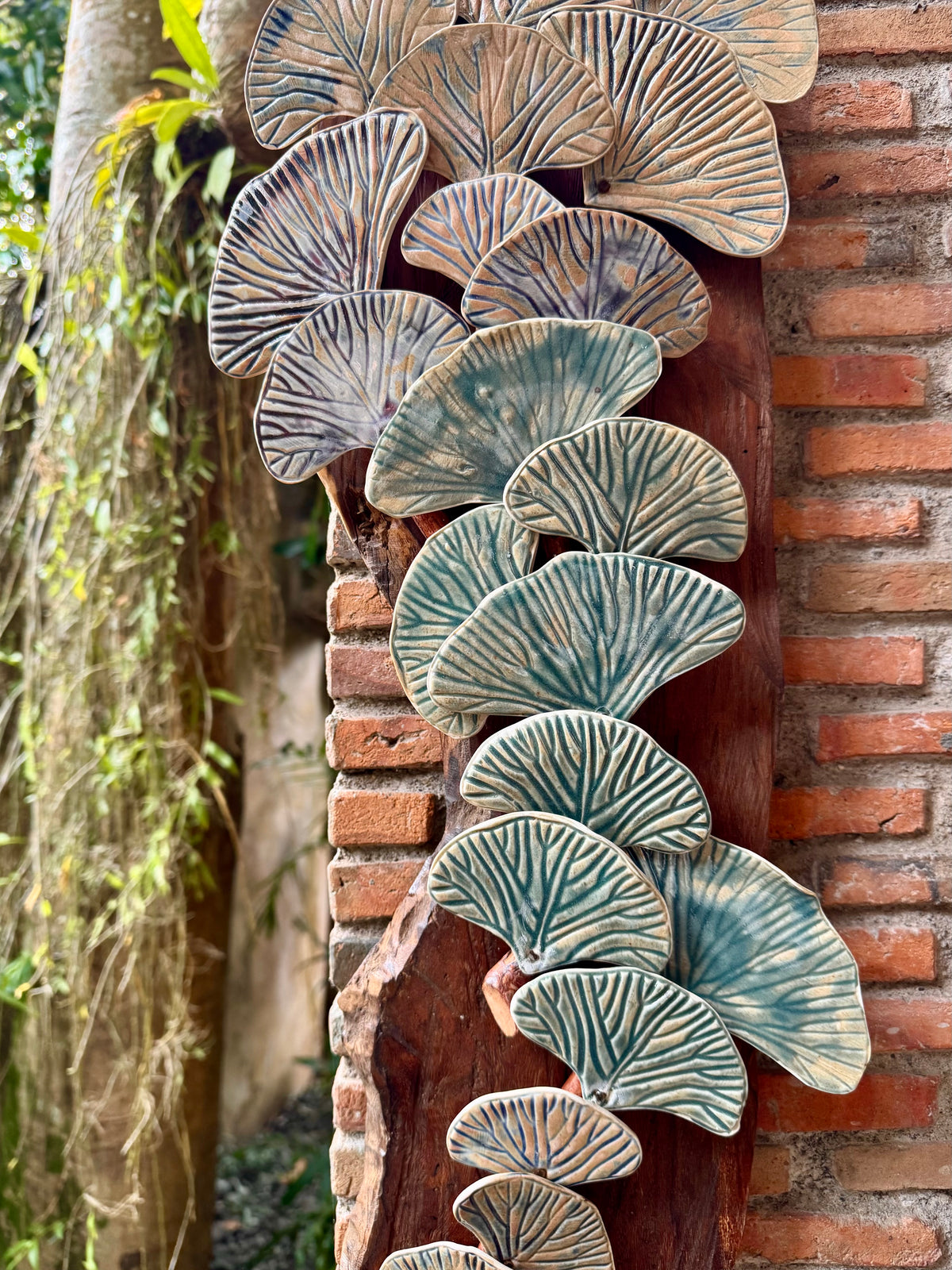 Ginkgo Biloba Wall Hang
