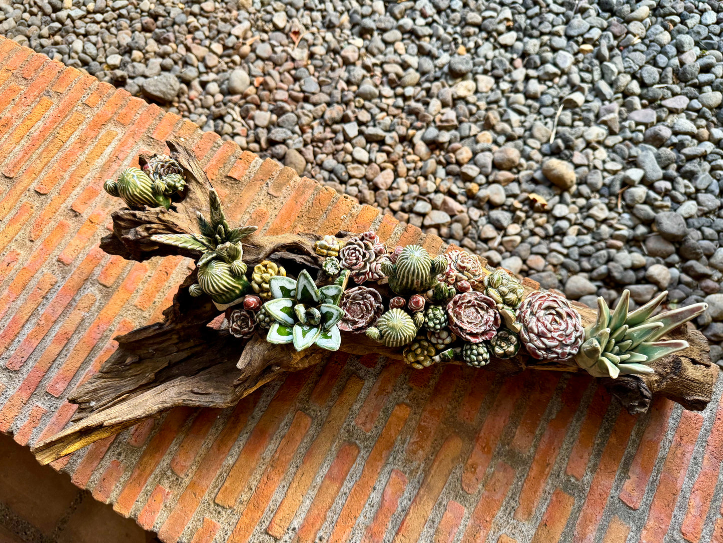 Succulents & Cactus Tabletop