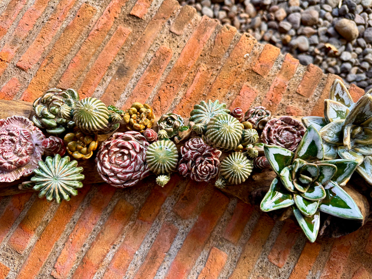 Succulent & Cactus Tabletop