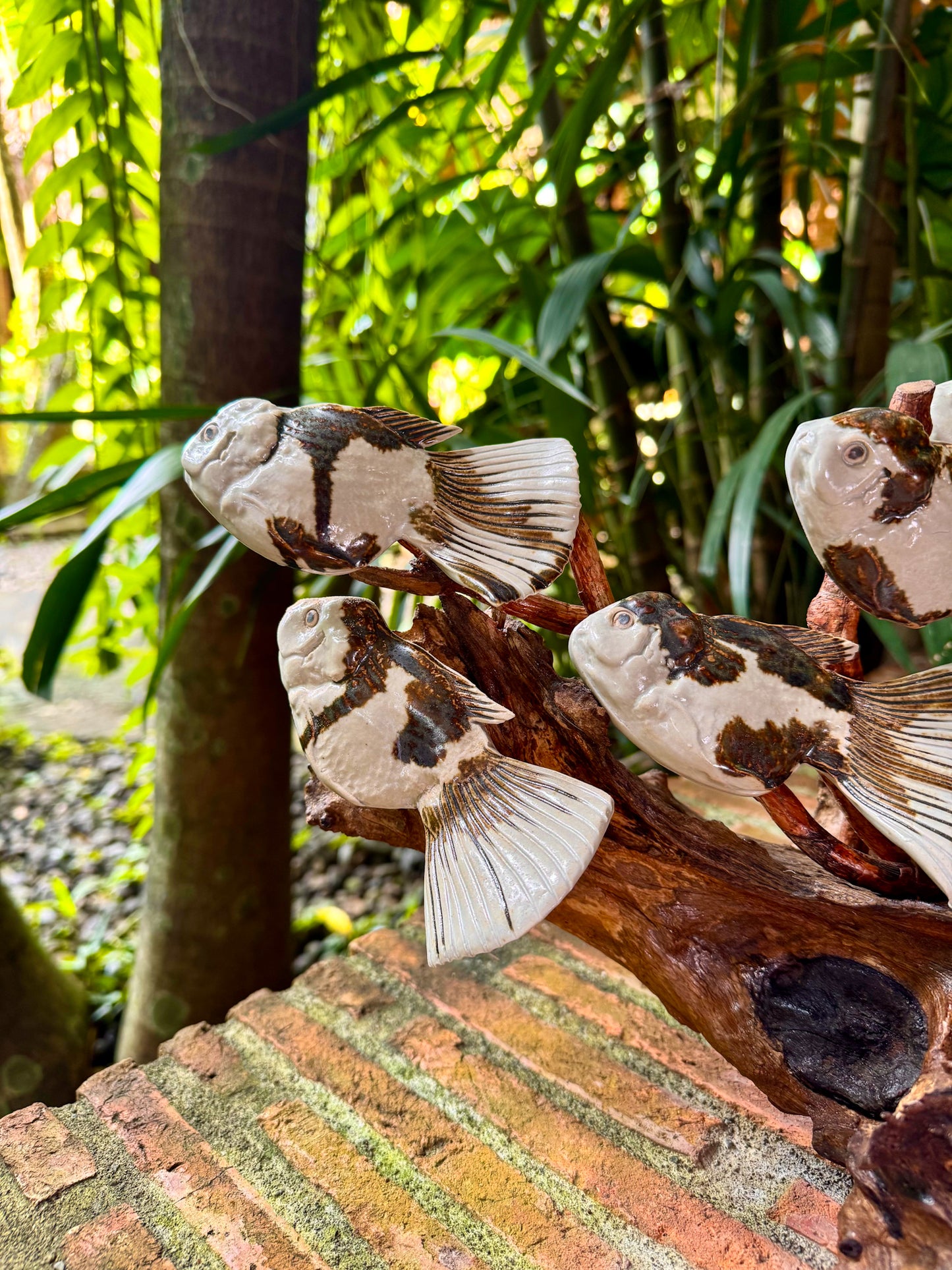 School of Fish Tabletop