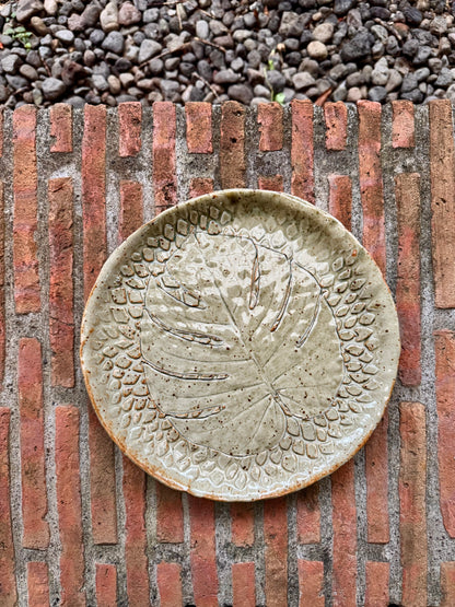 Monstera Plate Medium