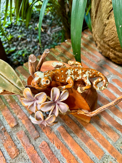 Tuko with Calachuchi Tabletop