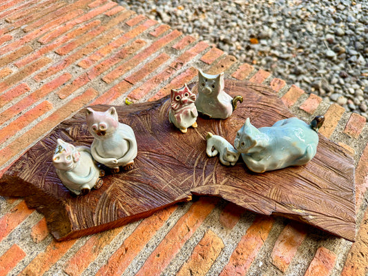 Cats & Kittens Tabletop