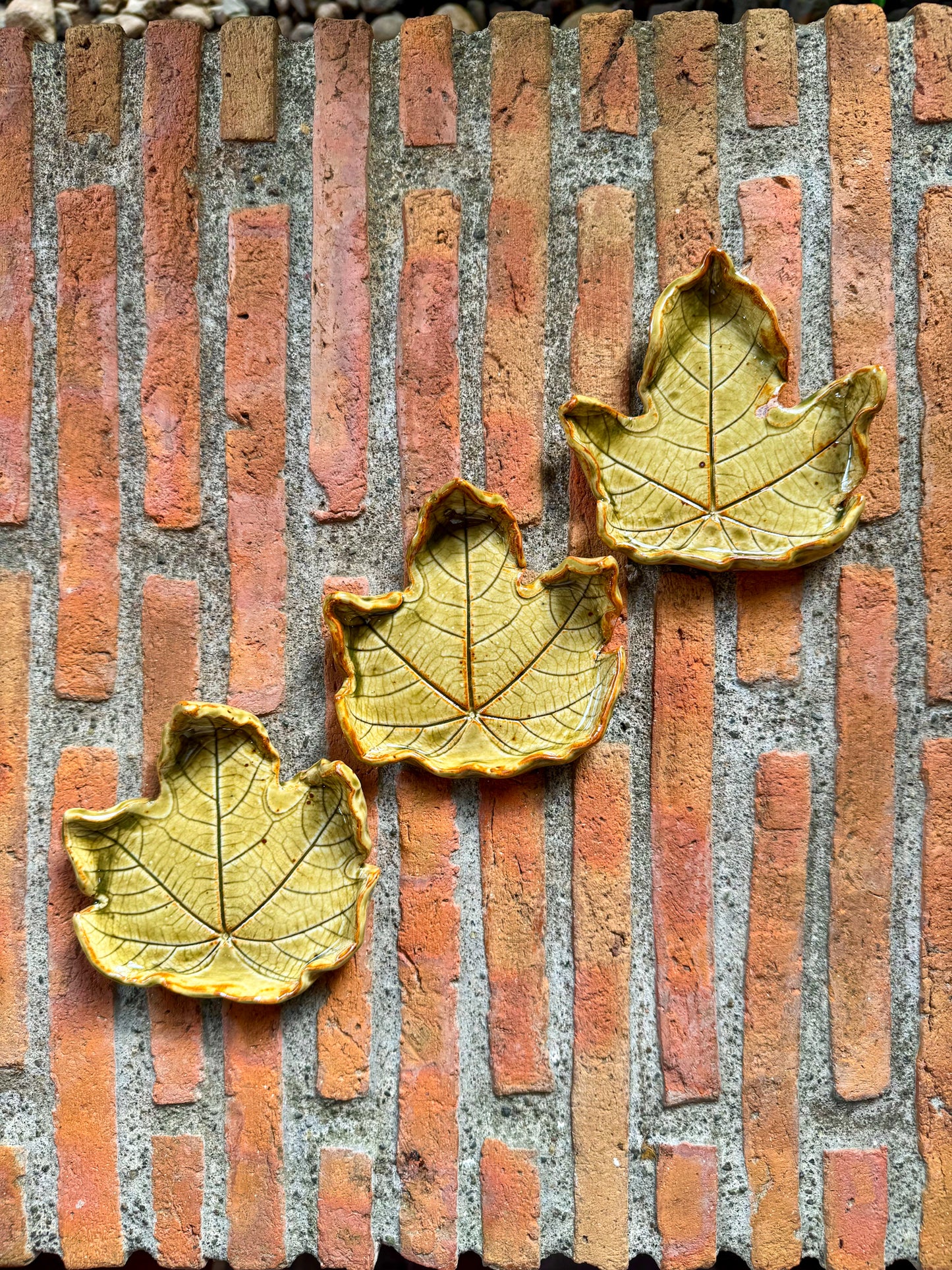 Leaf Plate