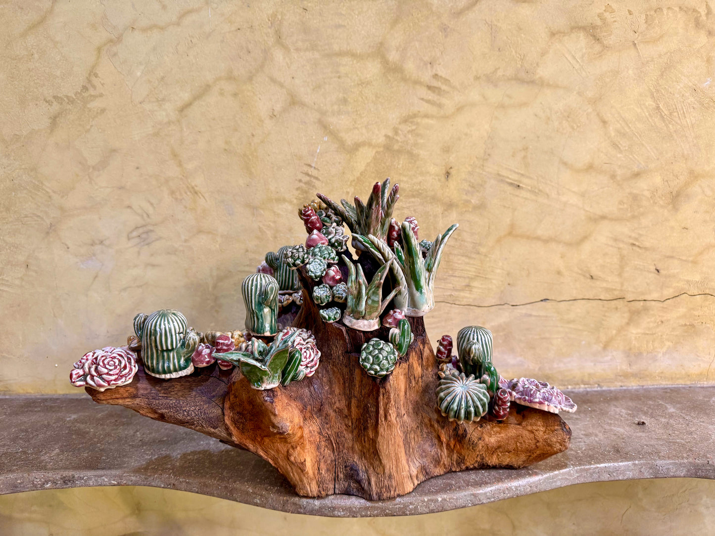 Succulents & Cactus Tabletop