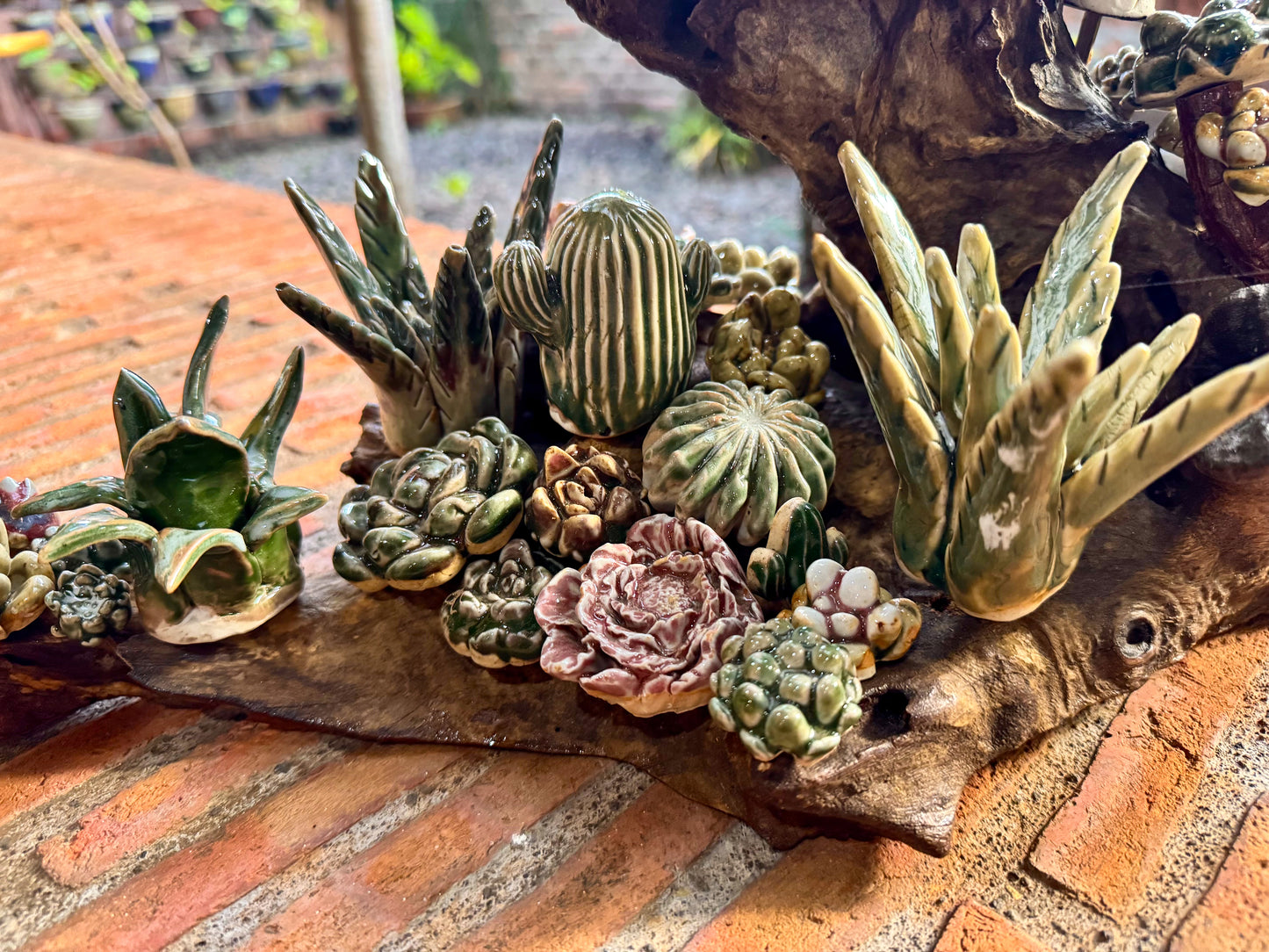 Succulents & Cactus Tabletop