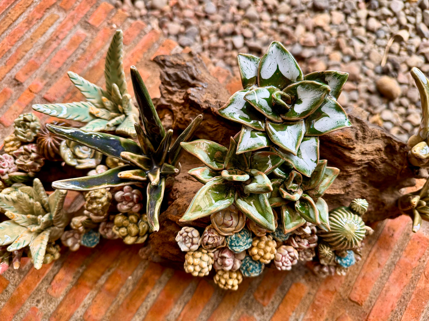 Succulents & Cactus Tabletop
