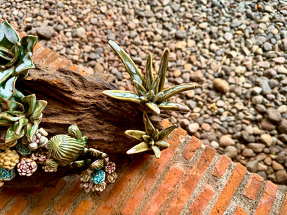 Succulents & Cactus Tabletop