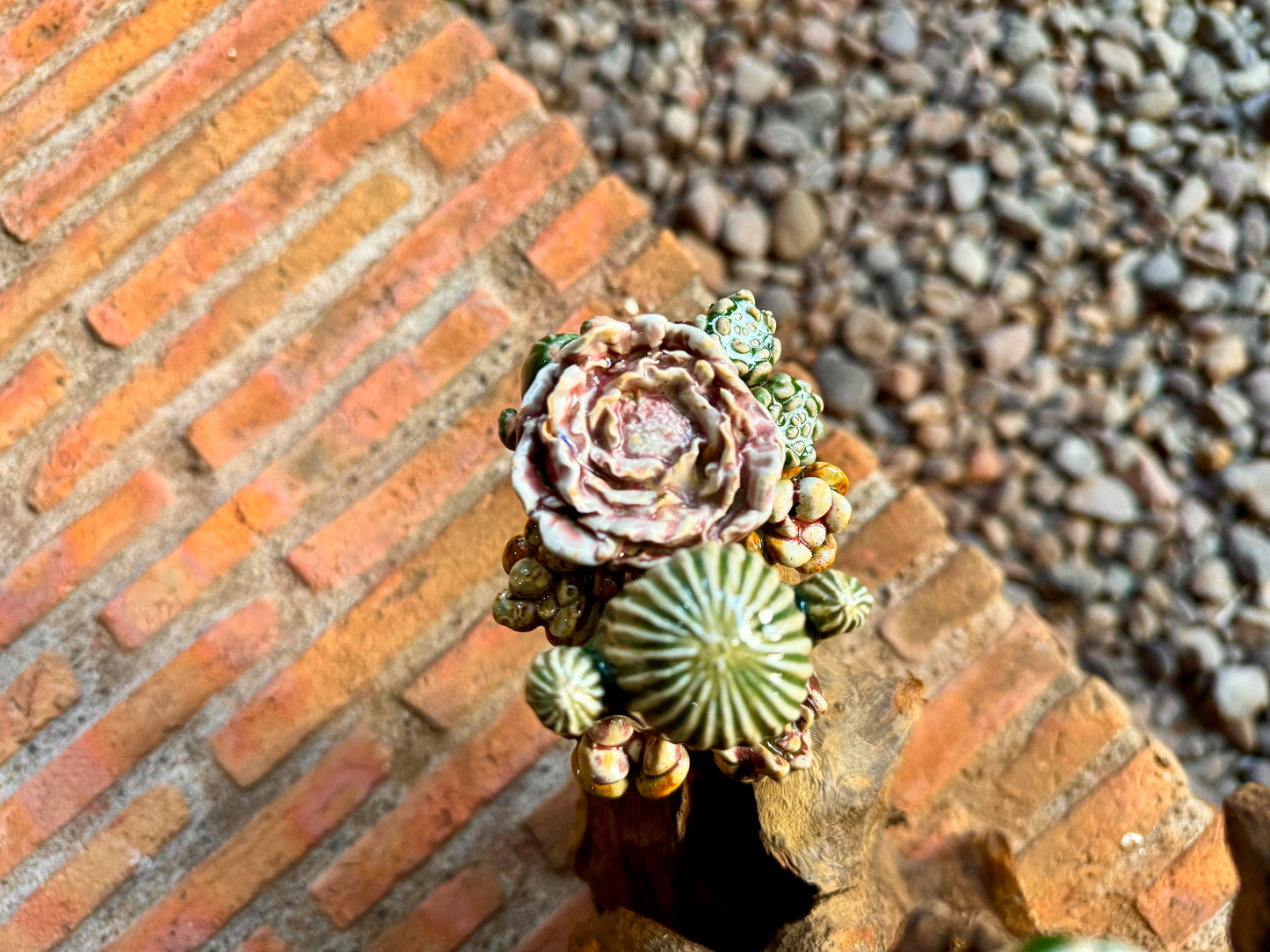 Succulents & Cactus Tabletop