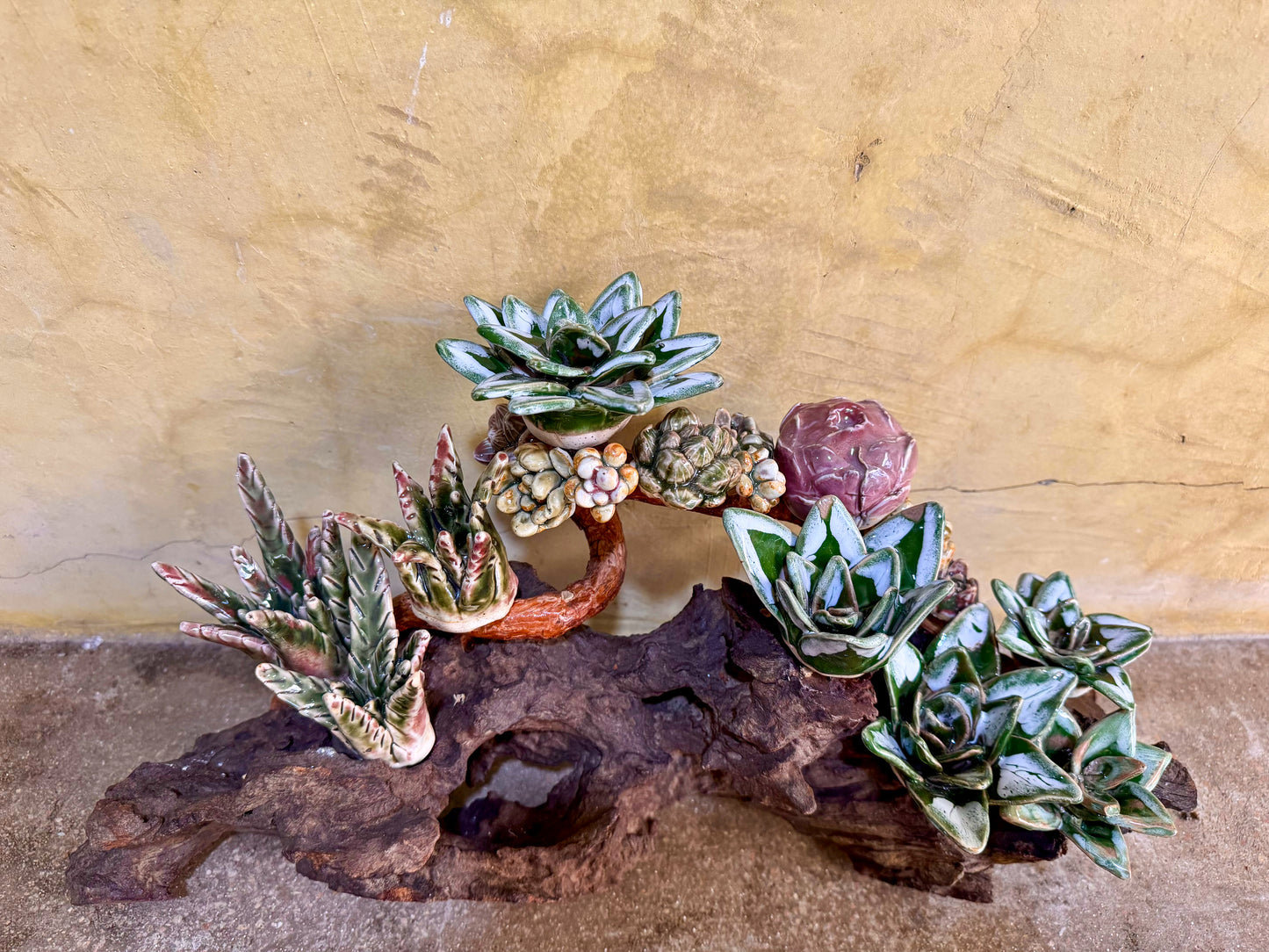 Succulent & Cactus Tabletop